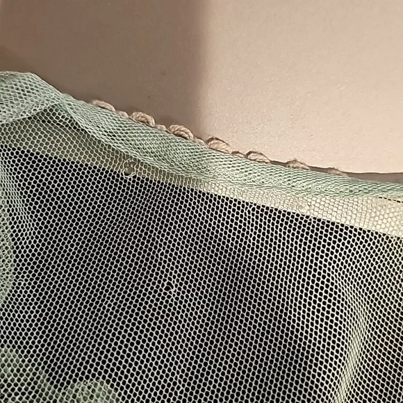 The Pyramid Collection Mint Green Sheer Dress - Picture 7 of 7